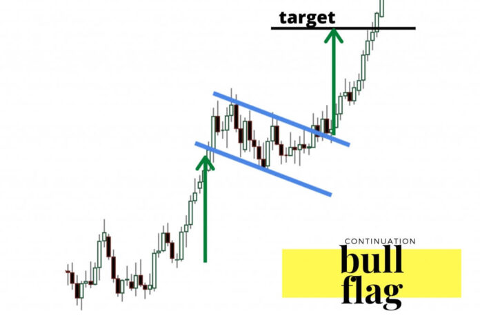 Bull Flag